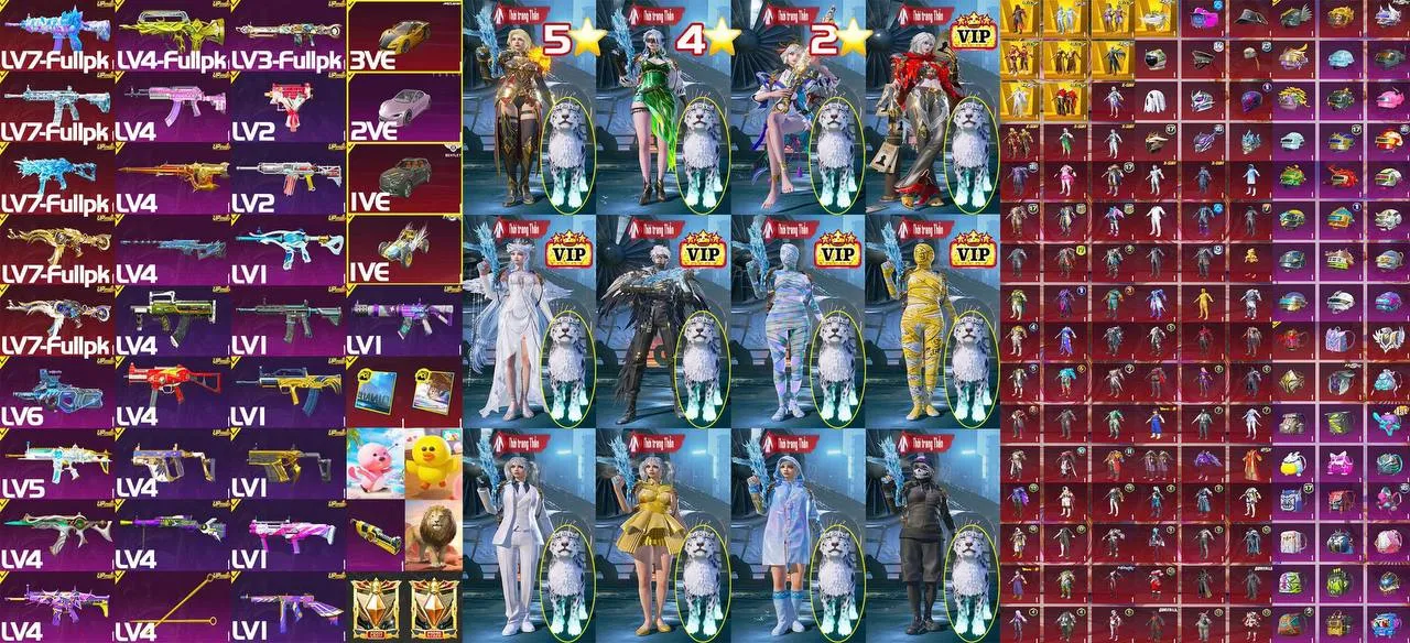 CCMO1